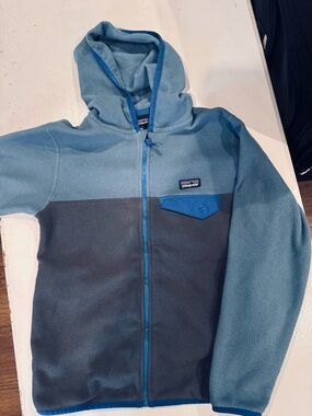 Patagonia Light and Royal Blue Fleece Pullover